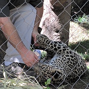 Picture 116